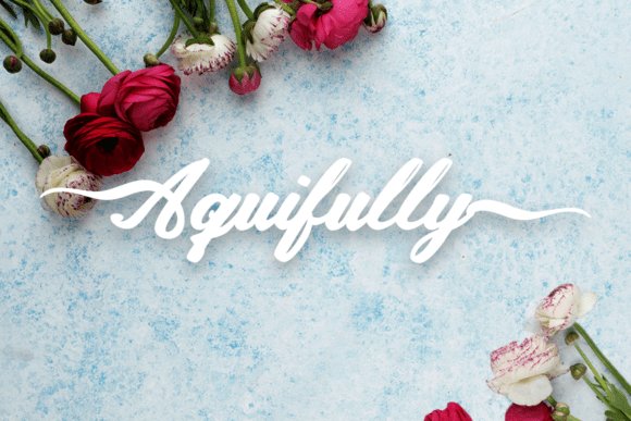 Aquifully: The Font of Fluid Elegance in Modern Design